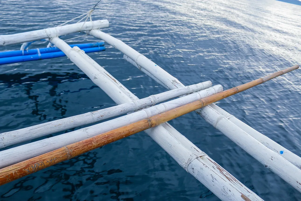 The outrigger arms of a traditional boat.